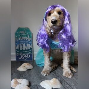 Fairy Dust Dog/Cat Mermaid Costume